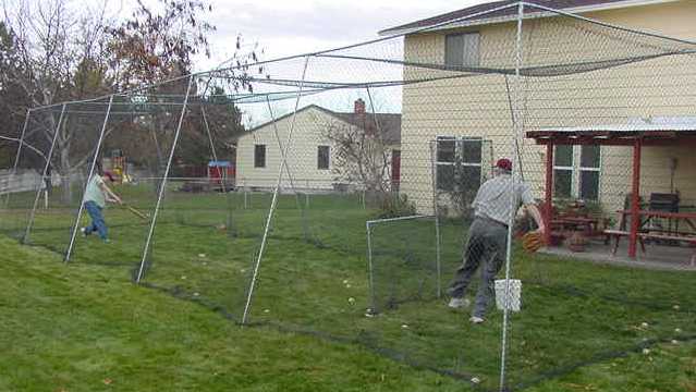 Man hitting baseball in backyard cage